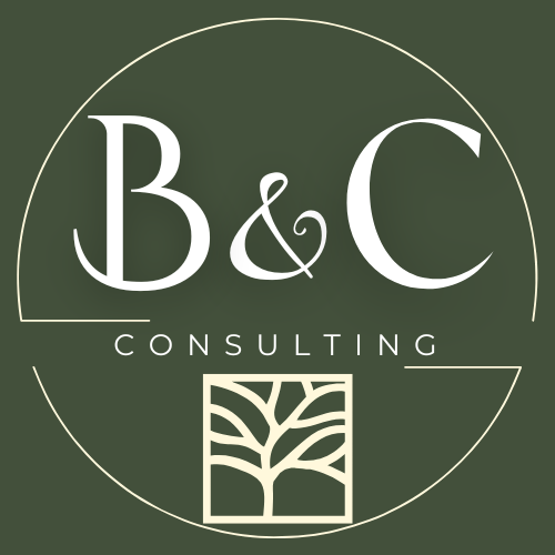 B&C Consulting logo